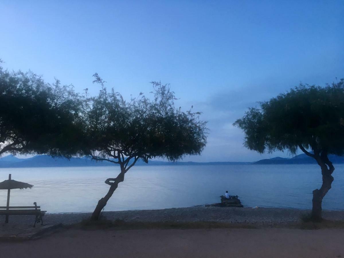 Eratous Seaside House Villa Agii Dimitrios ke Panteleimon Kültér fotó