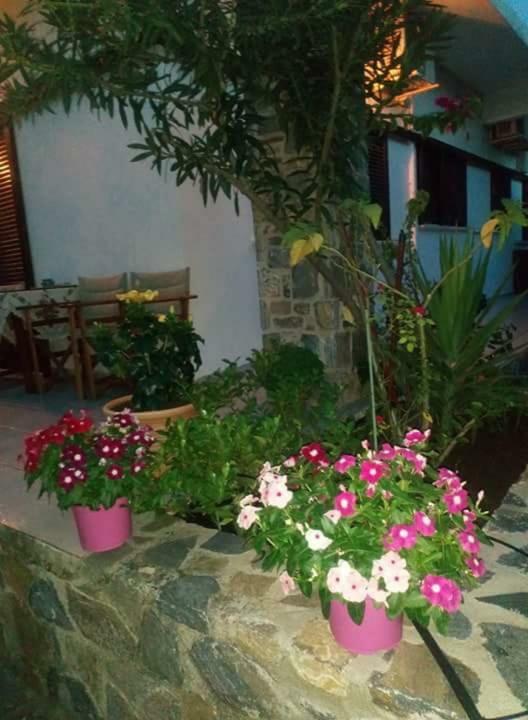 Eratous Seaside House Villa Agii Dimitrios ke Panteleimon Kültér fotó