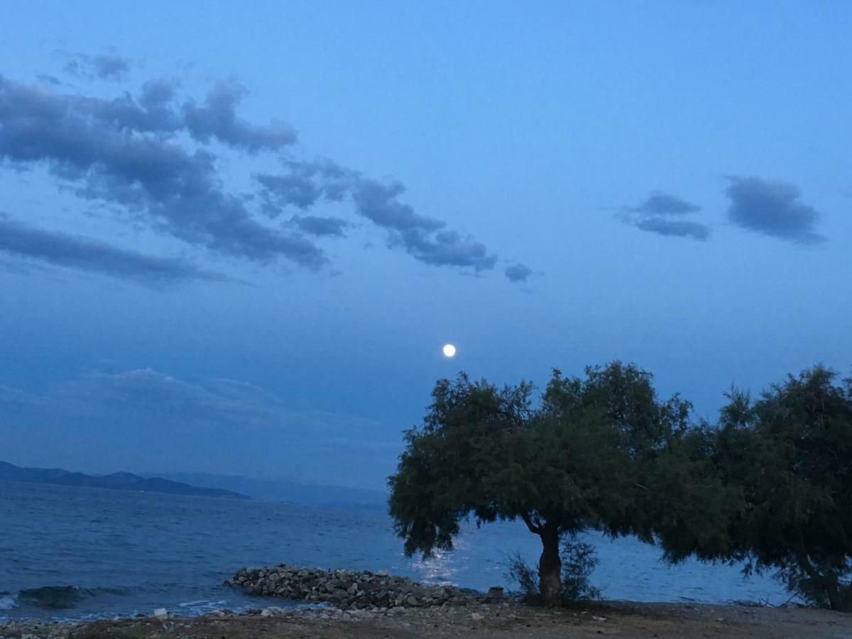 Eratous Seaside House Villa Agii Dimitrios ke Panteleimon Kültér fotó